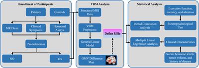 Cognitive Function and Serum Hormone Levels Are Associated with Gray Matter Volume Decline in Female Patients with Prolactinomas